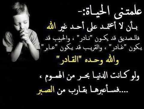 الصقر tweet media