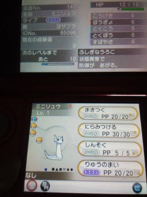 もりー ポケモン垢 Pokm Xy Pokm Twitter もりー ポケモン垢 Pokm Xy Pokm Twitter