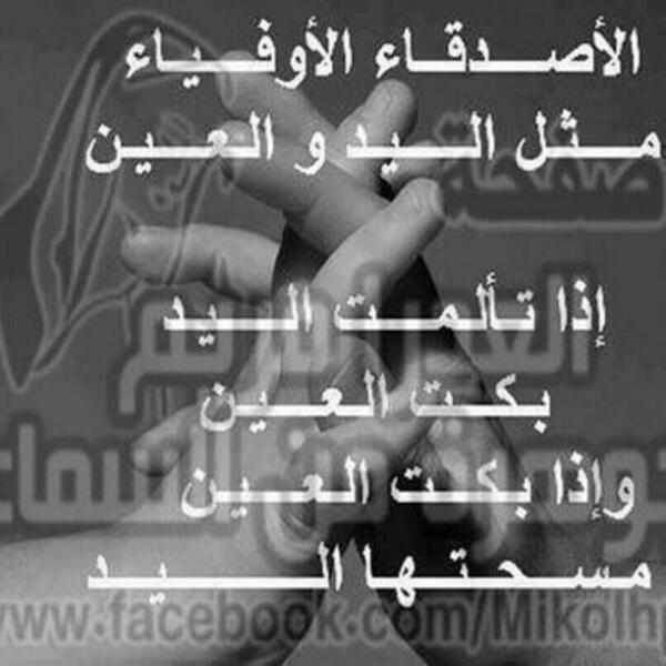 الصقر tweet media