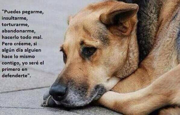 manusanchez46's tweet photo. http://t.co/M3hCLFFz53