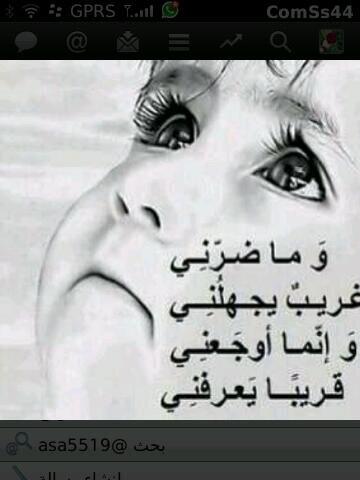 الصقر tweet media