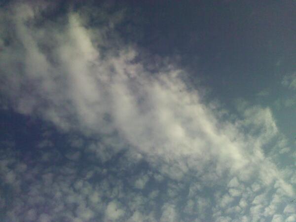 GuzmnAng tweet picture