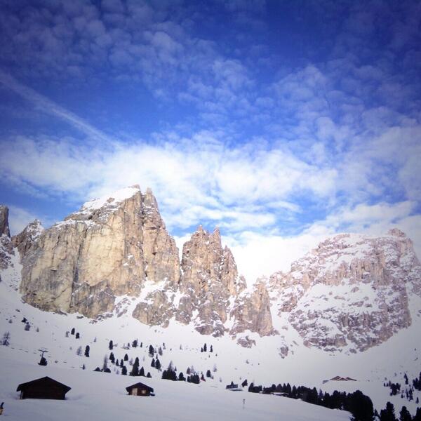 MB OSSO SERVICE tweet media