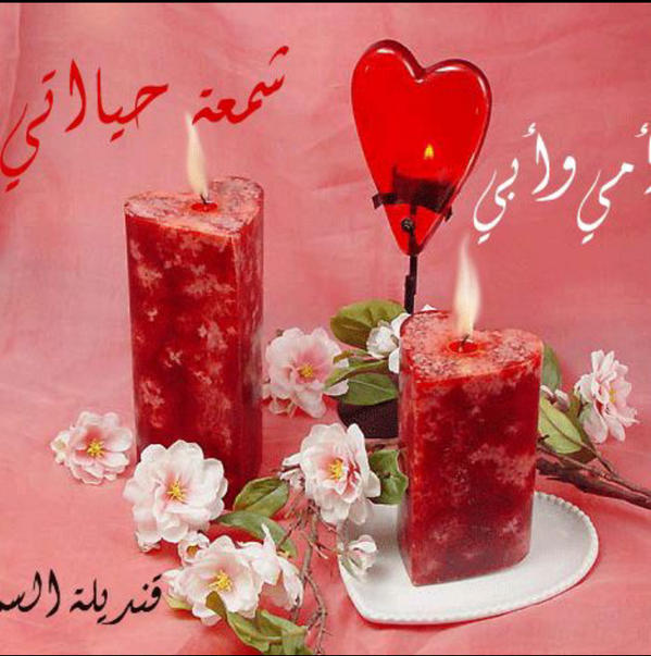 ريـنـادالـحربي (@mnaue1600) on Twitter photo 