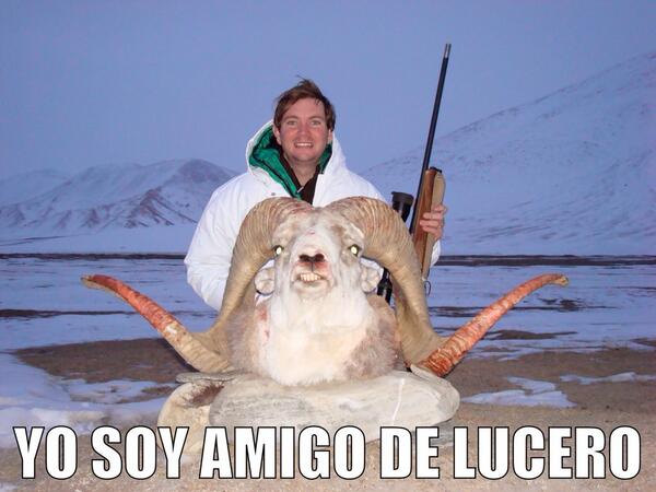 ChemaRV's tweet photo. Yo apoyo y soporto la caza, por que se lo que es y lo importante que es para la conservación. Ya no chi.. A Lucero http://t.co/5vbOFaedI6