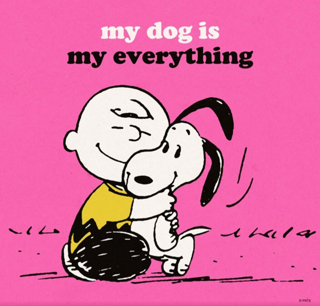 PEANUTS on Twitter "My dog is my everything. http//t.co/yVs6m9dTTb"
