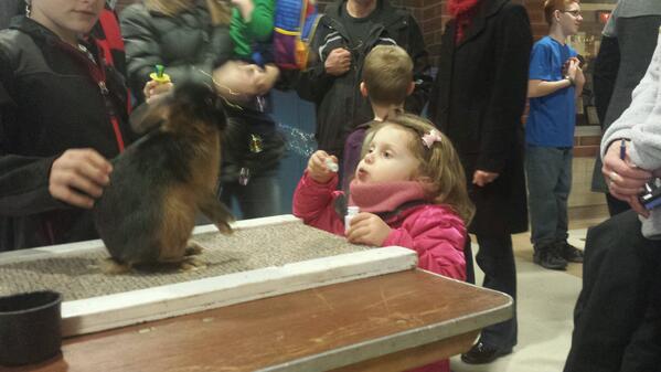 WashingtonCty4H's tweet photo. A big thanks to the DaVinci Festival! #4-H #washingtoncounty http://t.co/dqOqoo3z1O
