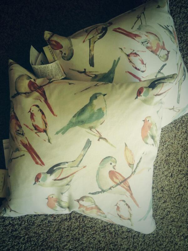 maurab820's tweet photo. Will Scott make me return these? #crazybirdlady http://t.co/0Z52wtIxz0