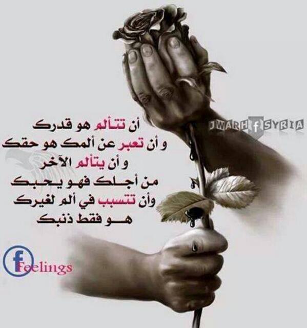 حسنين عادل tweet media