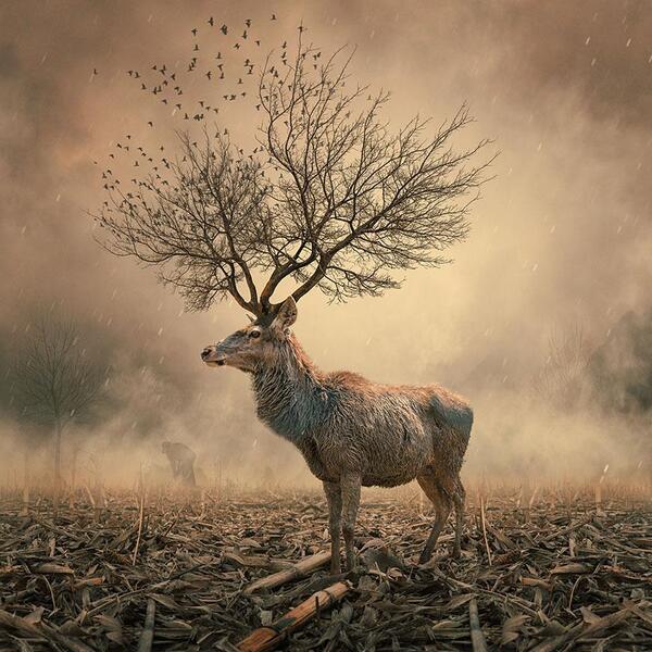 SurrealPictures's tweet photo. http://t.co/HJdJh5hiNK