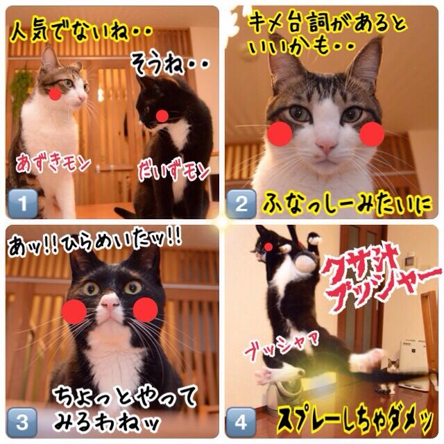 あずきさんとだいずさん ねこ写真４コマ 今日もお届けッ ねこの写真で４コマ漫画のブログ あずきさんとだいずさん 猫 猫部 ねこ Http T Co Qwgg0g9mst Http T Co Whr9r1ei7h Twitter