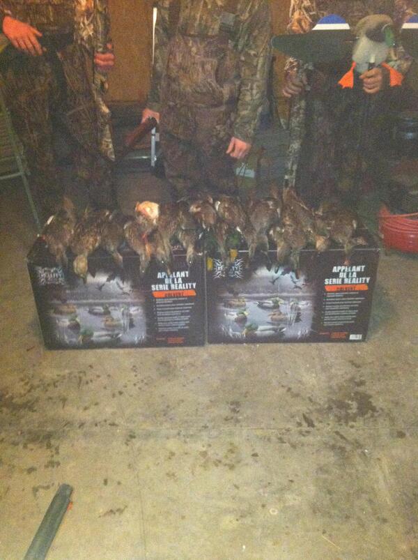 #mallards#gadwals#17ducks#funtimeswiththecrew