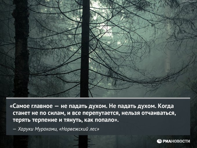 Красивые цитаты про лес и природу. Лес цитаты из книг. Харуки мураками норвежский лес. Мураками цитаты. Норвежский лес цитаты из книги.