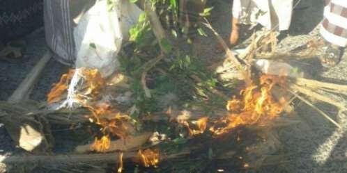 رابط دائم للصورة المُضمّنة