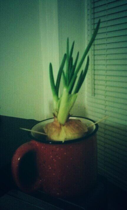 ajkitchen tweet media