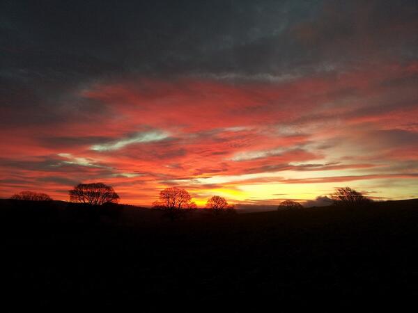 Cracking sunrise this morning after a cold night.