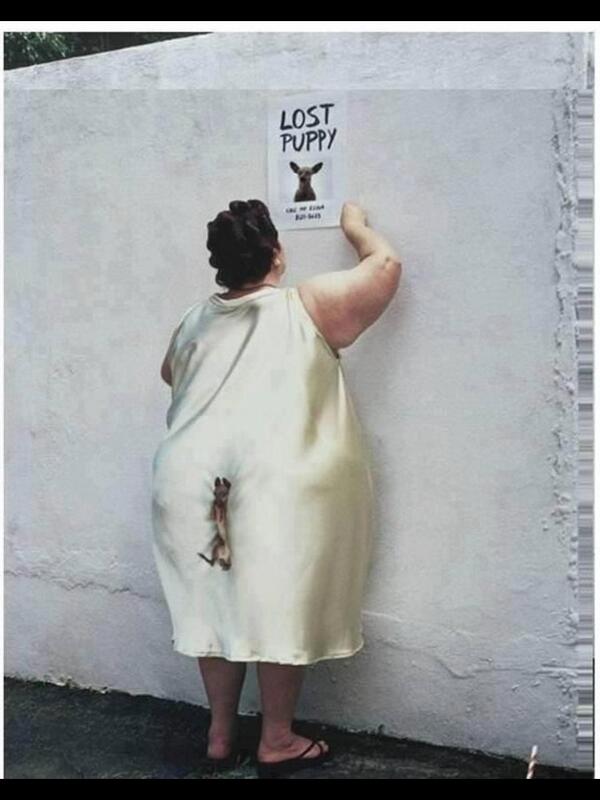 BenStkr's tweet image. 