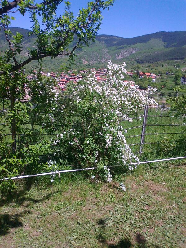 ral3w's tweet photo. Such lovelyness http://t.co/sQNaCFEQHT