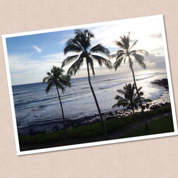 urbannatures's tweet photo. Inspiration is everywhere. We found it in the simplicity of the palm trees on Poipu Beach, Kauai. #inspiration http://t.co/URkhoBcWa9