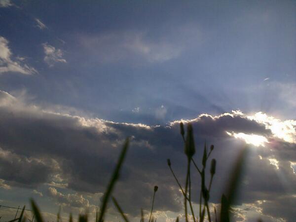 mitchell tweet media