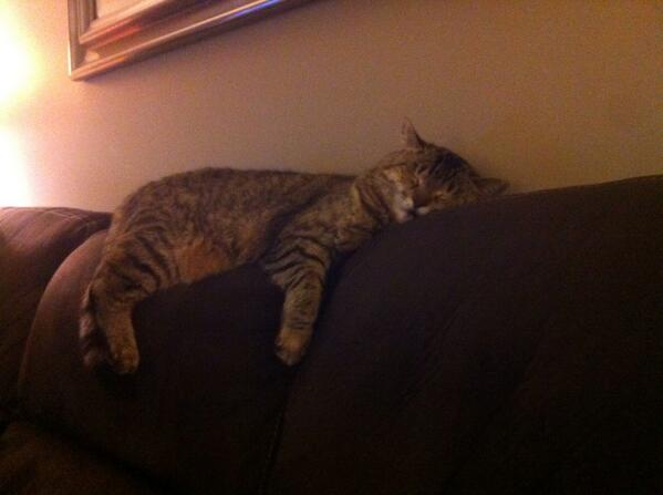 steenaxox's tweet photo. Looks like someone had a late night lol http://t.co/VhiL1mTurA