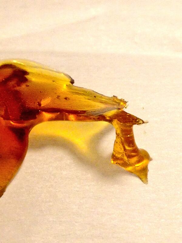 DailyDabber tweet picture
