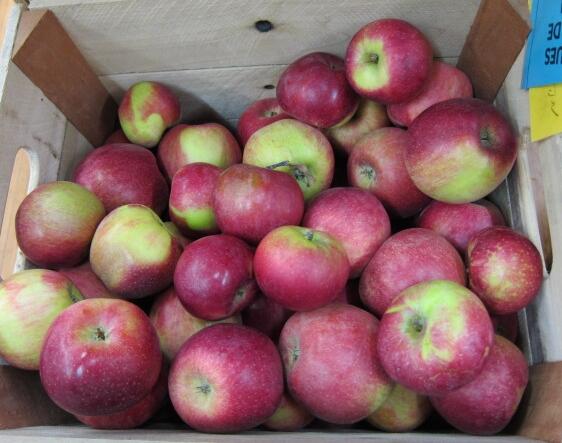 Sweet, local, crisp apples, this week at Brighton Farmers' Market, Sunday 1-4. brightonfarmersmarket.org