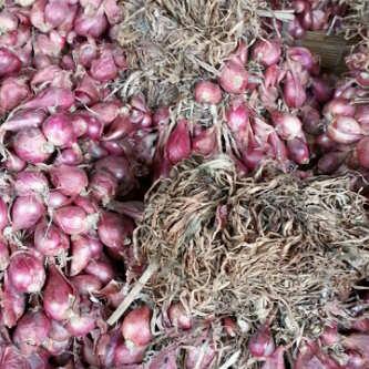 Mimiiiiiin <a href="/AlumniSMPN3BPP/">Alumni SMPN 3 BPP</a> gue jual bawang merah nih aseli brebes buat emak n bini, 33rb/skilo. Diborong ye ^^