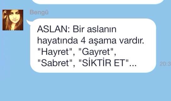 HUYSUZ_AYI's tweet photo. ASLAN: 
Bir aslanın hayatında 4 aşama vardır. "Hayret", "Gayret", "Sabret", "SİKTİR ET"... http://t.co/vktEQpvDIQ