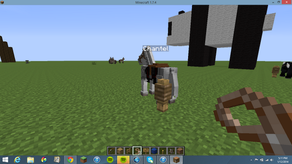 gnomestuck's tweet photo. @chomikk I named my horse Chantel in minecraft. http://t.co/szwJFaB4Oo