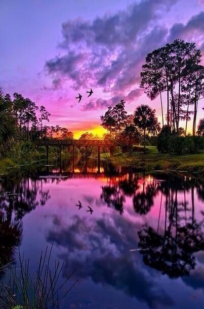 FascinatingPlcs's tweet photo. Purple Sunset http://t.co/dMegaJ34JR