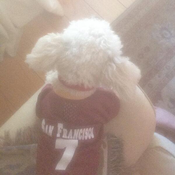 Mflower5's tweet photo. Little dog repin the #kingkap jersey on game day http://t.co/tkb24Eya4M