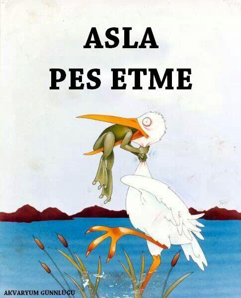 J_Assubay_'s tweet photo. http://t.co/VItlov9ROW Asla PES ! etme