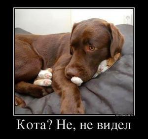 Прямая ссылка на встроенное изображение