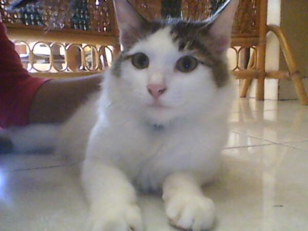Desky28's tweet photo. please....., comeback and play with me again http://t.co/rzzffbrEx9