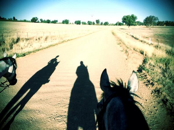 AndrewRHolmes's tweet photo. Evening ride #canowindra http://t.co/M8jzkPx1ax