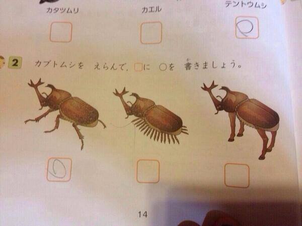 utsbot tweet picture