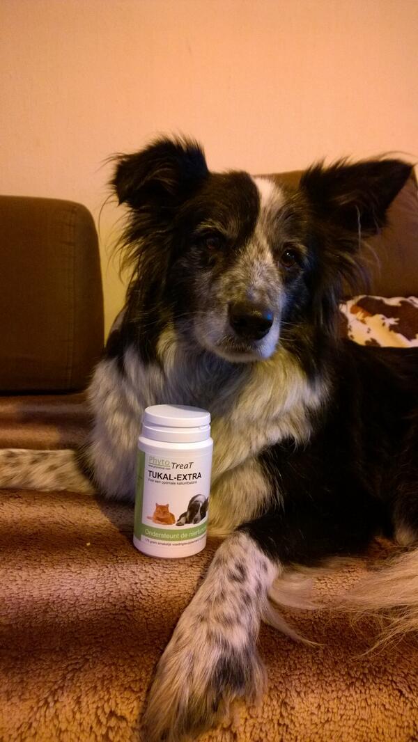 Phytotreat model stuurde ons een plaatje van de photoshoot!