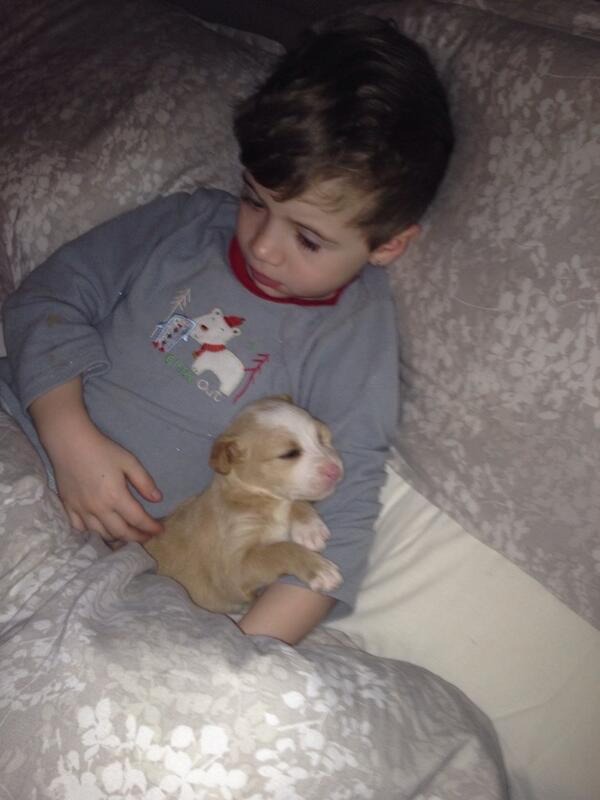 Samcherrie's tweet image. It must b love