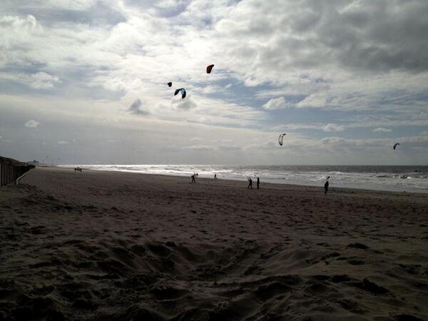 Wil jij ook dat het stille strand behouden blijft? Teken de petitie. Jouw stem is belangrijk! lnkd.in/dbumEaJ