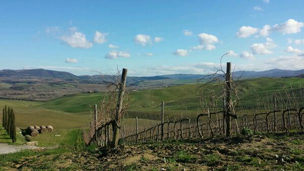 PoggioStenti's tweet photo. Nice saturday of wind &amp; sun! Enjoy! http://t.co/9Q16TRVIMW