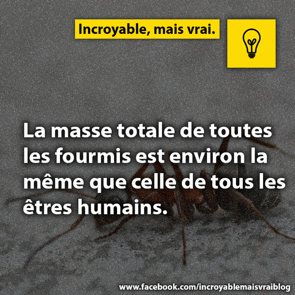 Infos incroyables (@infosincroyable) on Twitter photo 