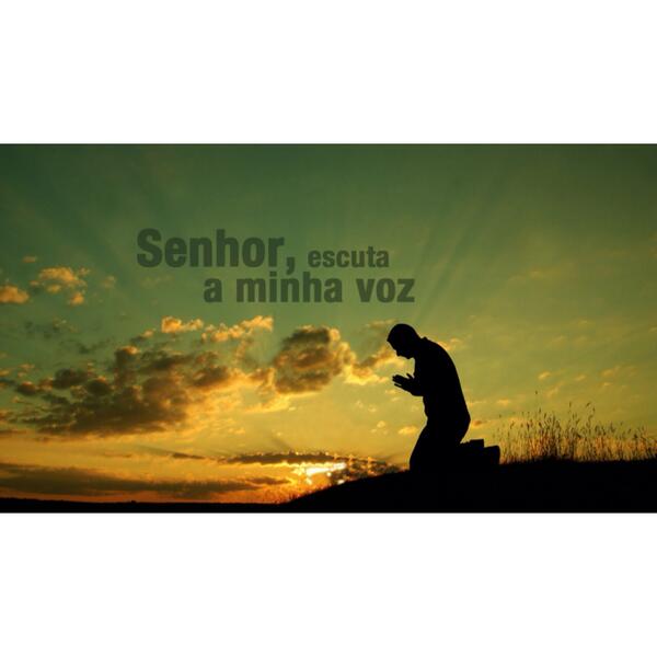 silmarcoelho's tweet image. 