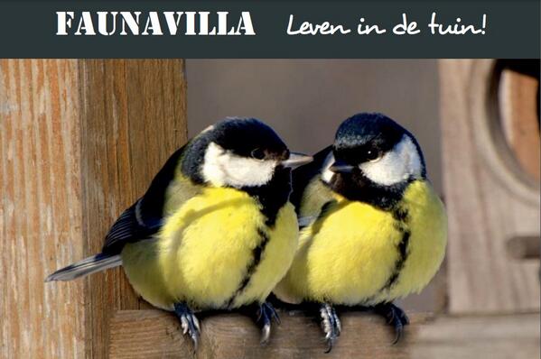 Een eerste impressie van de flyer! #faunavilla #duurzaam