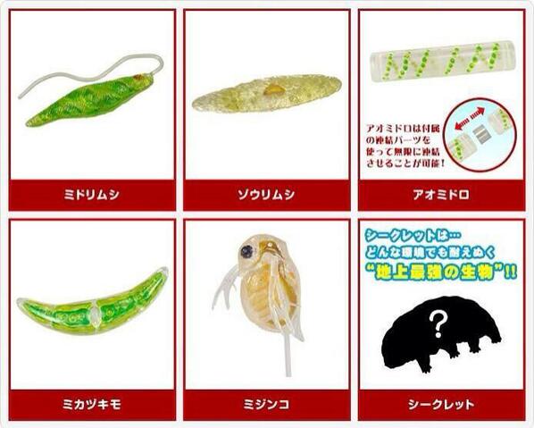 はる Ninichakin 家宝にします 微生物ガチャ アオミドロは無限に連結させることができるそうですよ 見つけたら回して癒されて ににさん頑張れる子 応援してますー Http T Co X7tw7slfeb Twitter
