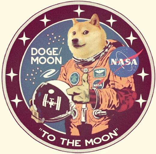 FauqYeah's tweet photo. To the moon! #dogecoin http://t.co/twBnwnCHkP