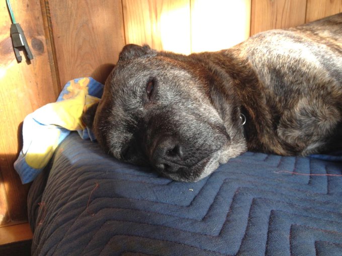 Saturday: Pleasure and Memorable Moments! http://t.co/IN42R9HAbm<a href="/tag/mvsales"class="tags"><span>#mvsales</span></a>