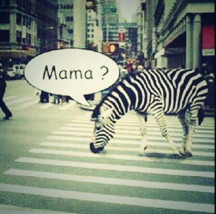 chiki (@diegoreston) on Twitter photo 