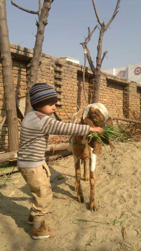 waisaboy's tweet photo. http://t.co/T3MuSI01iN