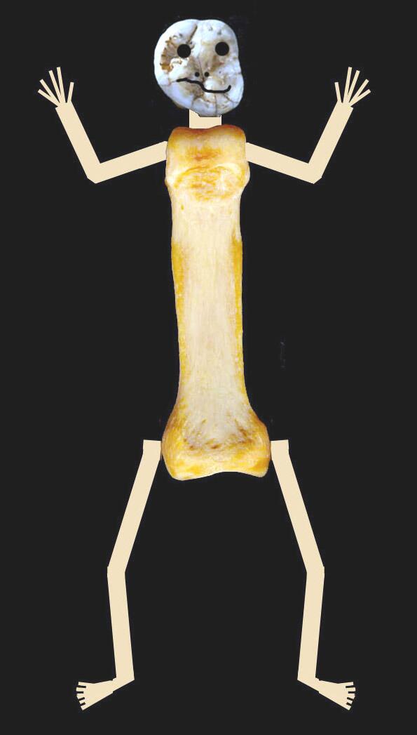 DrRDMartin's tweet photo. Genographic now reports DNA sequences in % Neanderthal, Denisovan and human. Want to see a Denisovan reconstructed? http://t.co/6aRuJsQOVC